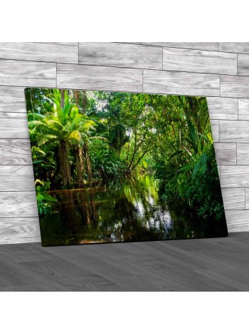 Amazon Jungle Yasuni Ecuador Canvas Print Large Picture Wall Art