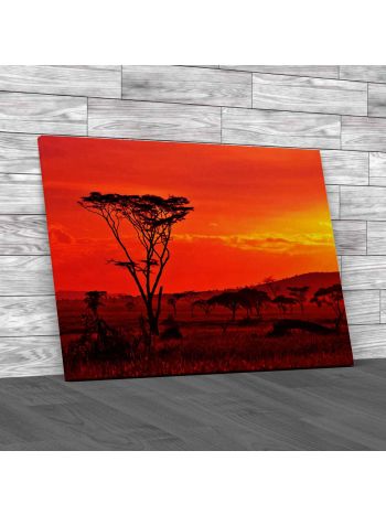 Serengeti National Park Tanzania Canvas Print Large Picture Wall Art