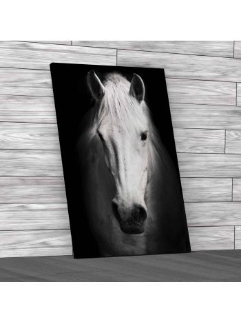 Lovely Horse Staring Canvas Print Large Picture Wall Art