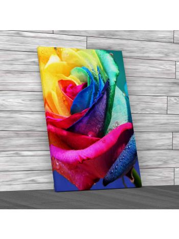 Floral Rare Rose Flowers 2 Canvas Print Large Picture Wall Art