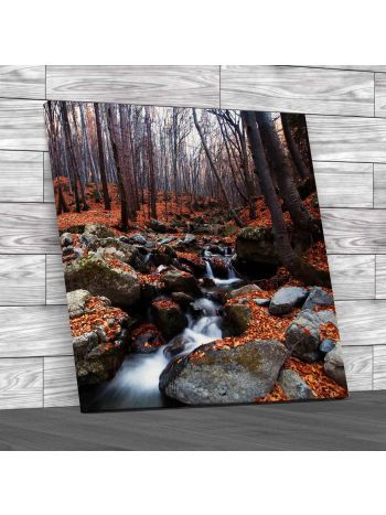 Stream Running Free Square Canvas Print Large Picture Wall Art