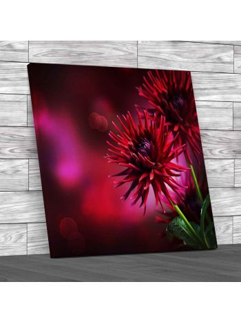 Dahlia Flower Up Close Square Canvas Print Large Picture Wall Art